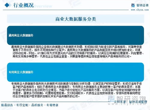 2026年中國商業(yè)大數(shù)據(jù)服務(wù)行業(yè)市場運行態(tài)勢分析與未來增長潛力展望
