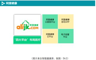 BAT如何布局移動醫療數據處理服務 戰略、技術與未來展望