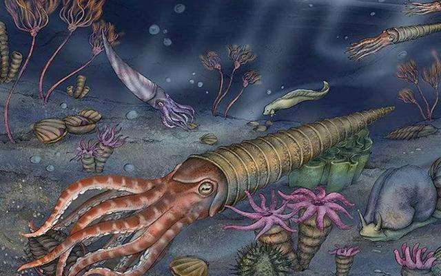 泥盆紀(jì)化石寶庫重現(xiàn)貴州，83種遠(yuǎn)古海洋生物揭示生命演化與醫(yī)藥研發(fā)新曙光